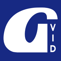 Logo GVID PARTY 2026