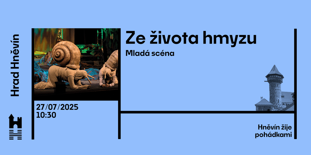 Ze života hmyzu 2025